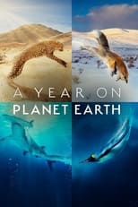 Poster de la serie A Year on Planet Earth