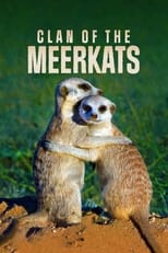 Poster de la película Clan of the Meerkat