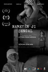 Poster de la película Letters from Shengal