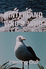 Poster de la película Hinterland Who's Who: Herring Gull