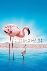 Poster de la película The Crimson Wing: Mystery of the Flamingos