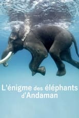 Poster de la película L'énigme des éléphants d'Andaman