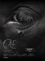 Poster de la película The Calf