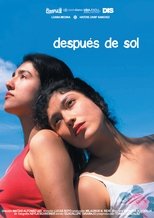 Poster de la película Despúes de Sol