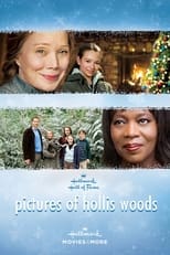 Poster de la película Pictures of Hollis Woods