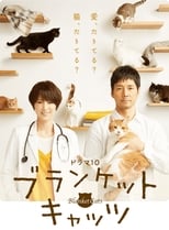 Poster de la serie Blanket Cats