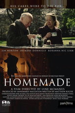 Poster de la película Homemade