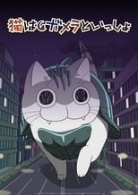 夜は猫といっしょ