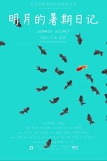 Poster de la película Summer Secret