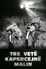 Poster de la película Three Persons Overpass the Mountain