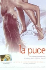 Poster de la película La puce