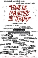 Poster de la película Viaje de una noche de verano