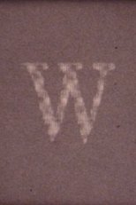 W poster movie