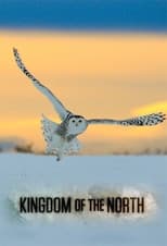 Poster for Kingdom of the North