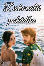 Dokonalá pohádka - plakát