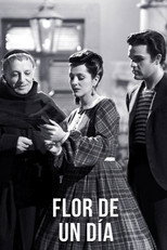 Flor de un día poster