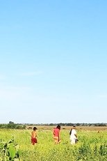 Panambizinho - O Fogo que nunca apaga