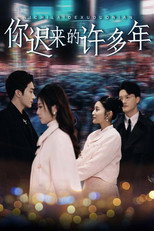 你迟来的许多年 poster