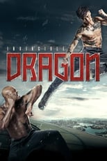 Poster for The Invincible Dragon 