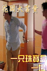 花开大富贵 poster
