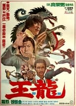 Poster for Deadly Kick