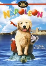 VER Napoleón, el perrito aventurero (1995) Online Gratis HD