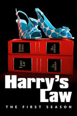 Poster for Harry's Law Season 1