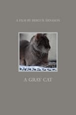 Poster for A gray cat