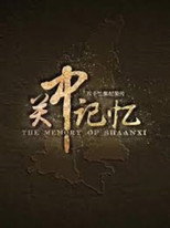 关中记忆 poster