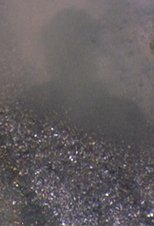 Reflections on my Shadow