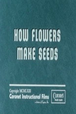 How Flowers Make Seeds poster
