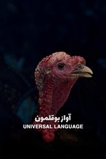 Universal Language (2024)