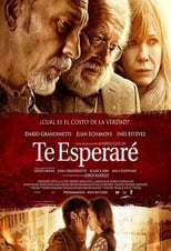 Poster for Te esperaré