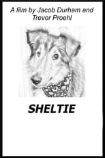 Poster for Sheltie