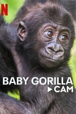 Poster di Baby Gorilla Cam