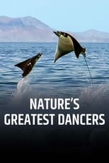 Poster di Nature's Greatest Dancers