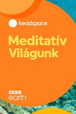 Meditatív világunk
