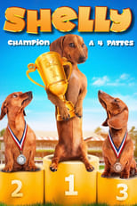 Shelly, champion à 4 pattes serie streaming