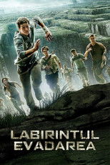Labirintul: Evadarea