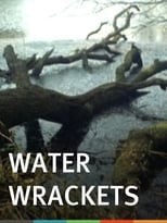 Poster for Water Wrackets 