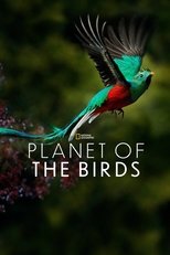 Poster for Planet of the Birds 