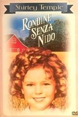 Rondine senza nido