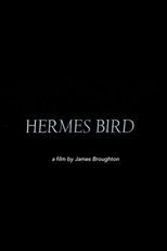 Hermes Bird poster