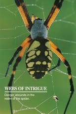 Poster for Webs of Intrigue 