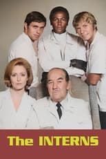 Poster for The Interns