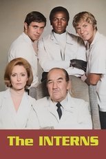 Poster for The Interns Season 1