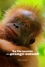 La Vie secr&egrave;te des orangs-outans