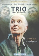 Poster for Trio. Jane's Music of Life