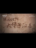 陕西泾阳大堡子汉墓 poster