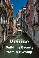 Venecia, como construir la belleza en una marisma